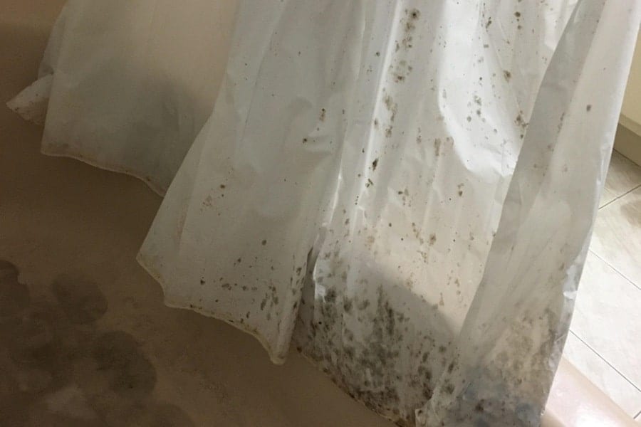 Curtain Mould Removal Hobart