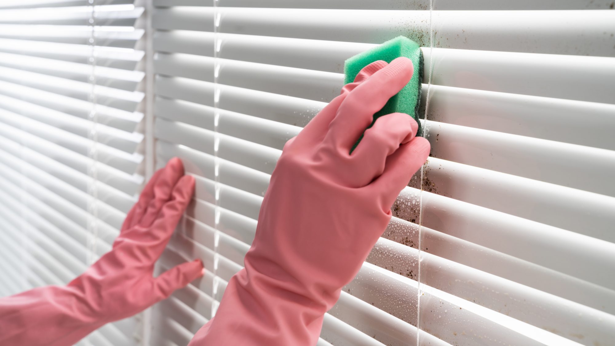 Blinds Cleaning Hobart